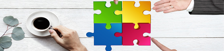 partners van Zorggroep Zin