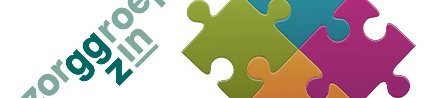 Preventie Zorggroep Zin